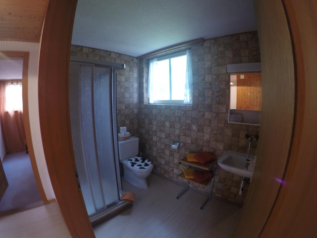 Downtown Lodge Hostel - Unique Simple Central Гринделвалд Екстериор снимка